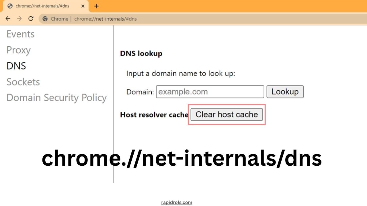 chrome.//net-internals/dns
